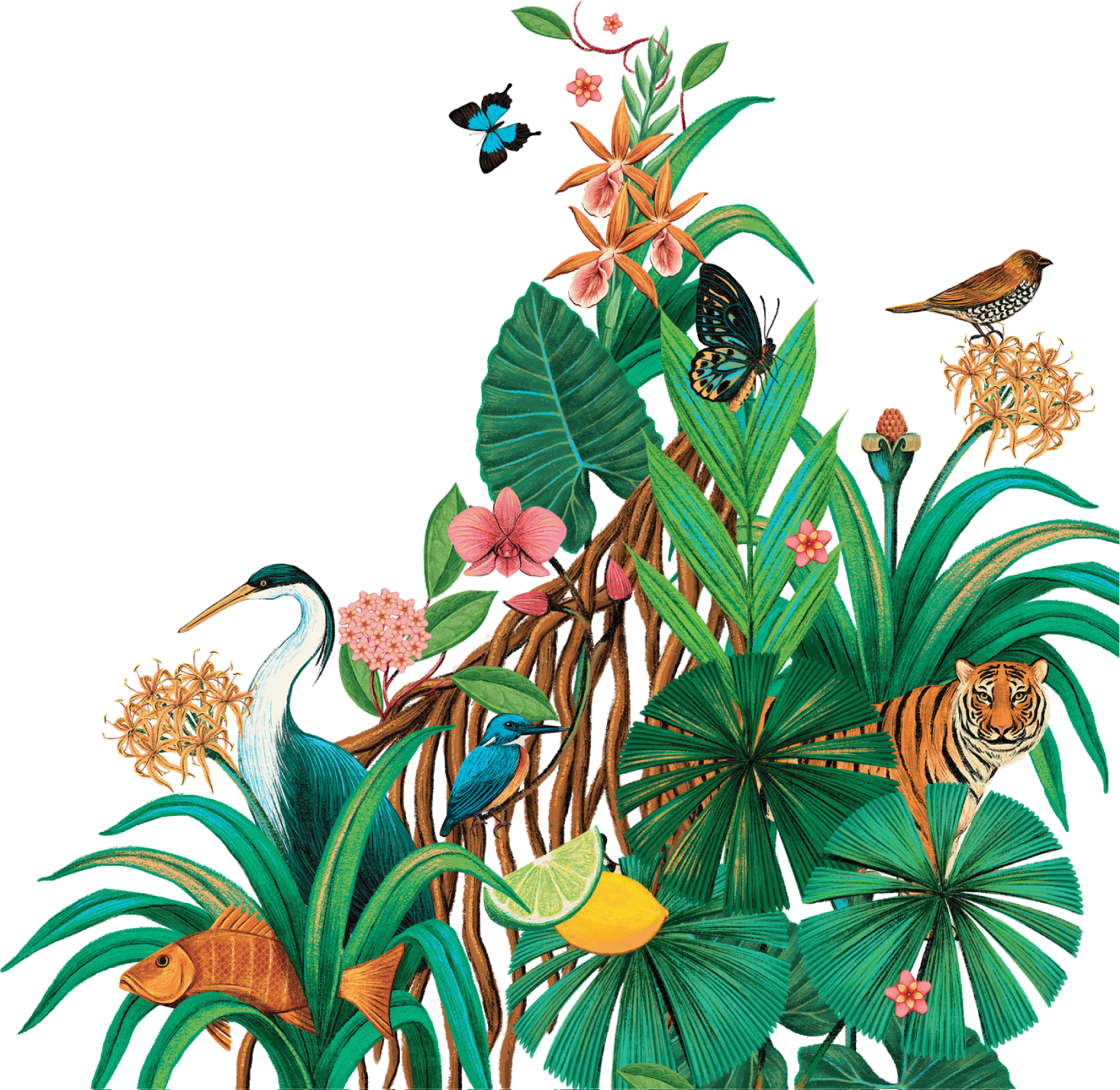 River Town botanical illustration